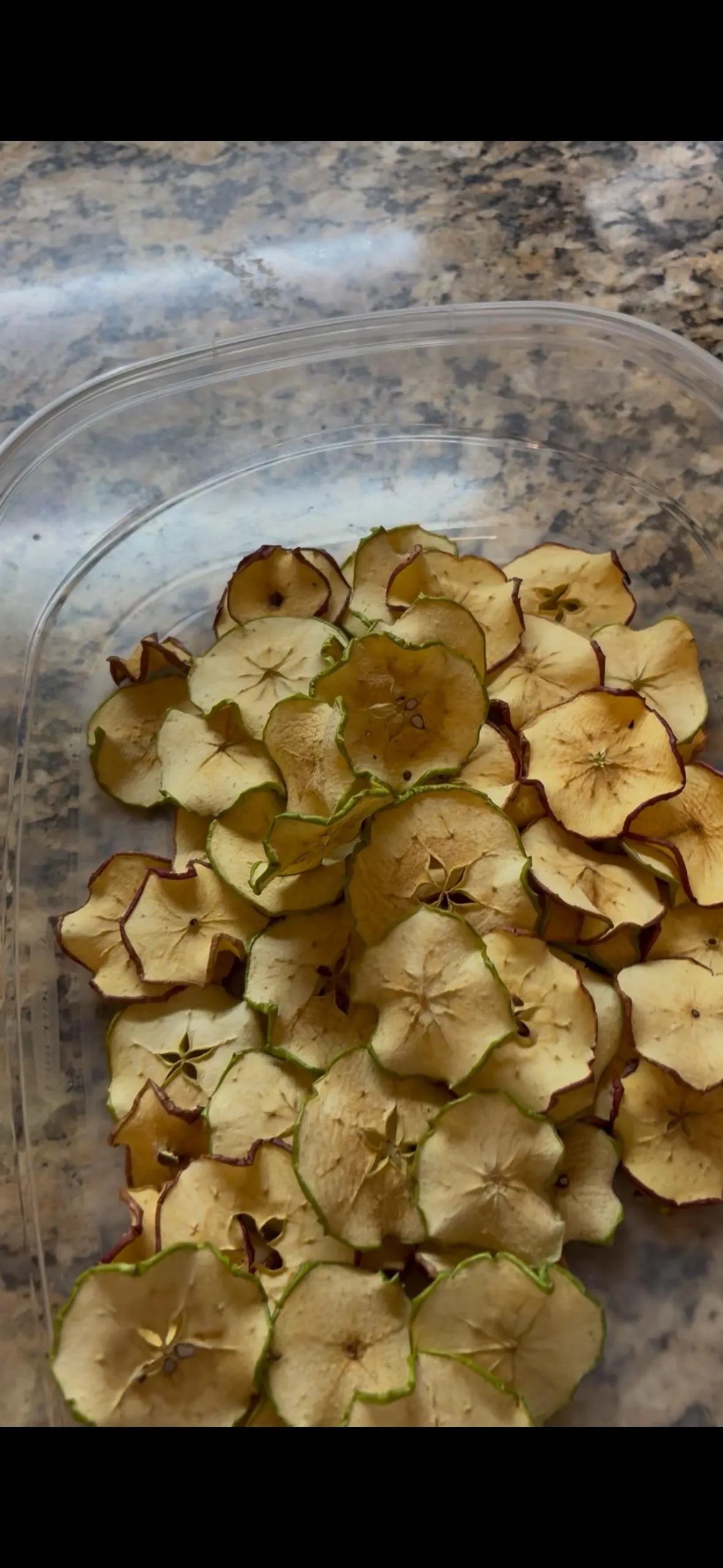 Dehydrated Apple Slices